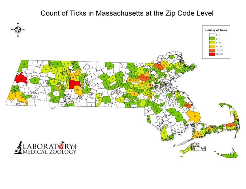 the Lone Star tick is now a residential in Massachusetts Deer tick populations were concentrated in Cape Cod, the eastern half of the state outside