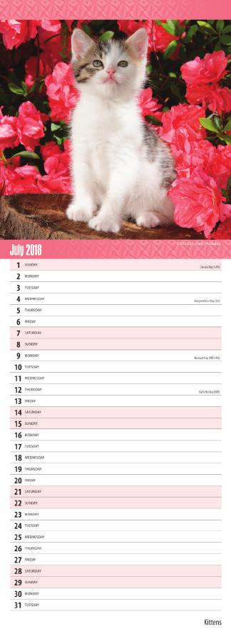 Bring kittens into your life with this adorable slimline calendar.