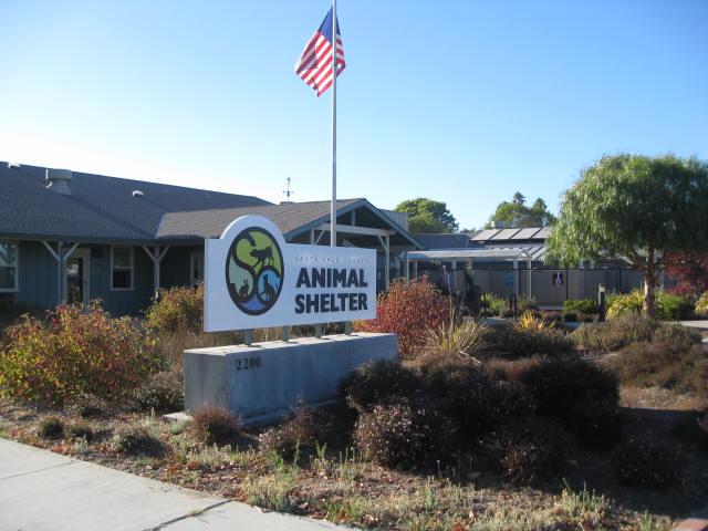 Santa Cruz County Animal Shelter Open door