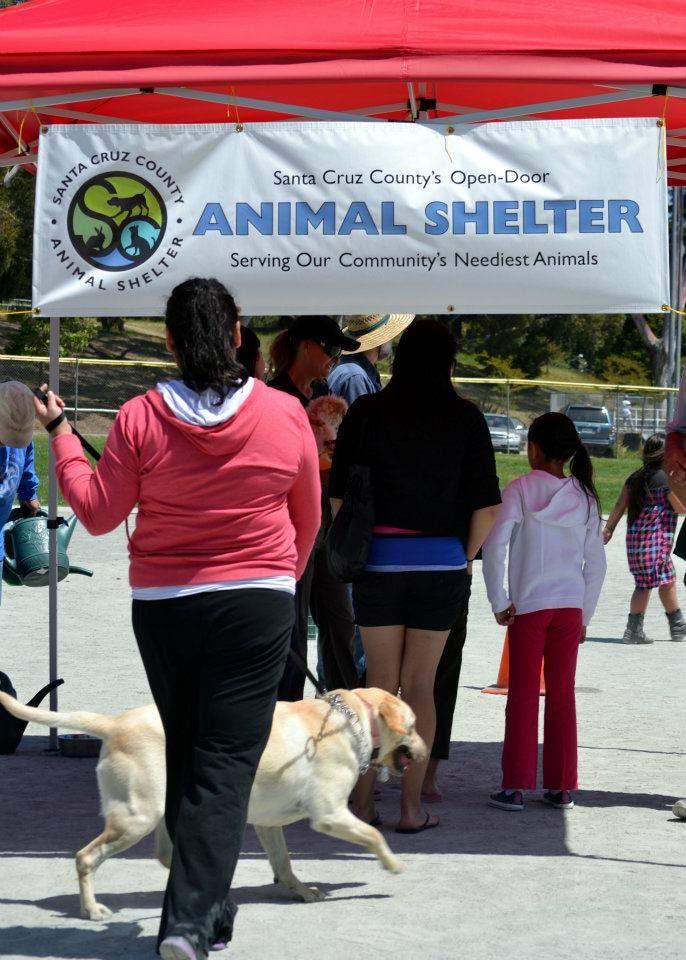 Healthy Dog Shots Fair Held in lower income area of County Provide: Free