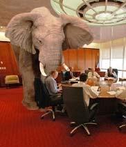 DVM Student Debt: The Elephant in the Room! What does the average DVM make?