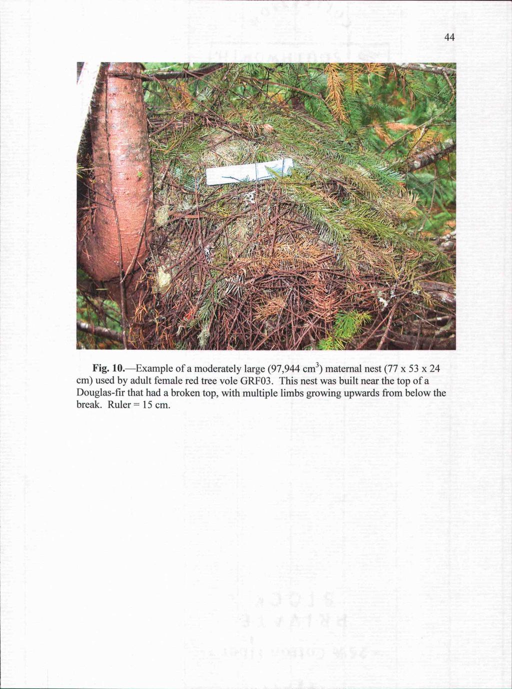 Fig. 10.Example of a moderately large (97,944 cm3) maternal nest (77 x 53 x 24 cm) used by adult female red tree vole GRFO3.