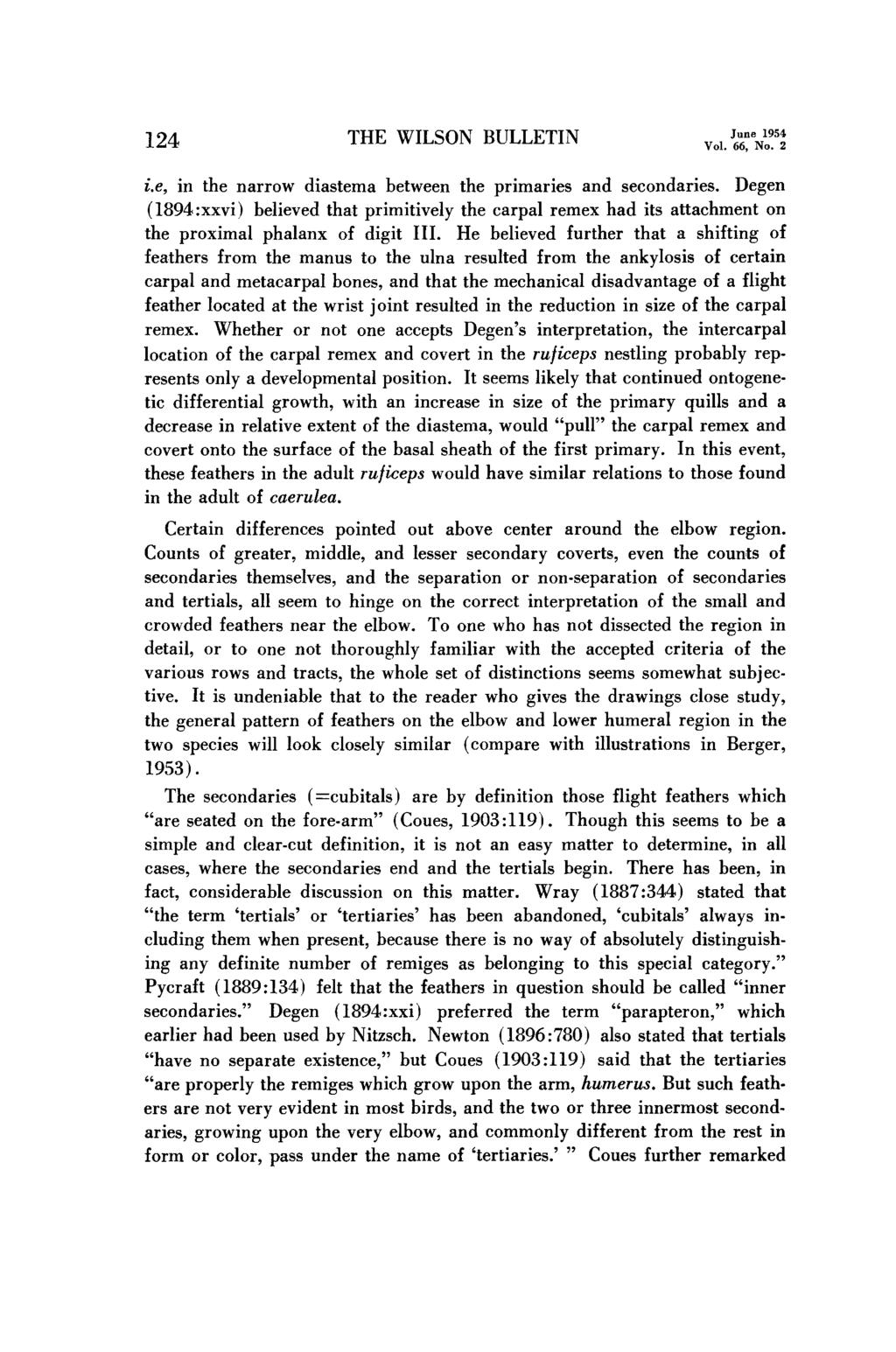 124 THE WILSON BULLETIN June 1954 Vol. 66, No. 2 i.e, in the narrow diastema between the primaries and secondaries.
