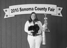 JUNIOR POULTRY Cash Awards Offered by the Sonoma County Fair $10,228.