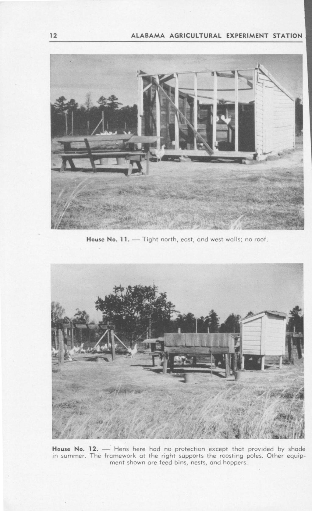 ALABAMA AGRICULTURAL EXPERIMENT STATION r~re:a~trsr- K House No. ii. Tight north, east, and west wall. no roof. ~dls t "~~ rpt A 4~' * -t Pb 2 House No. 12.