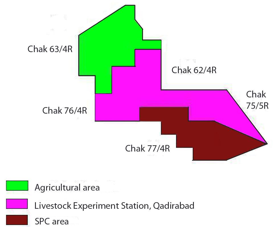 The present study describes the prevalence and chemotherapy of babesiosis among Lohi sheep in and around the Livestock Experiment Station, Qadirabad, Sahiwal, Pakistan, and focuses on the examination