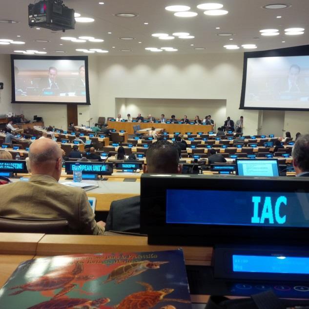Diego Albareda, gave a presentation at the 17th Meeting of the United Nations Open- Ended Informal Consultative Process on Oceans and the Law of the Sea whose topic this year was Marine Debris,
