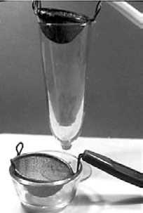 Laboratory 1 Pg. 11 BAERMANNIZATION In 1917, while working in Java, the Dutch physician Dr. Baermann developed a simple method for isolating nematodes from soil.