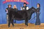Daisy Mae A354 was the high seller at this year s Stars and Stripes Sale for $24,500.