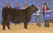 The $30,000 Denver high seller and 2011 Bred and owned Jr National Champion has generated over $100,000 in progeny including the $20,000 heifer calf at the 2016 North American that went on to capture
