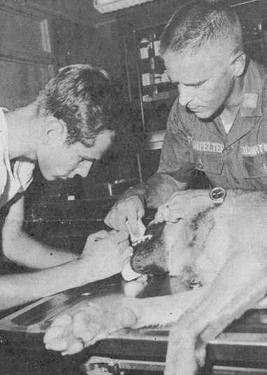 In the early 1980's the Air Force made major manpower changes. The USAF veterinarians were phased out and replaced by US Army personnel.