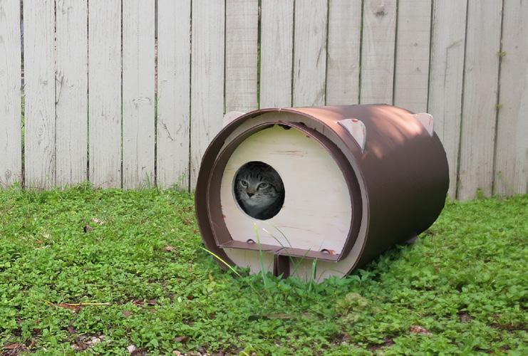 com) hosts multiple plans for low-cost cat shelters.