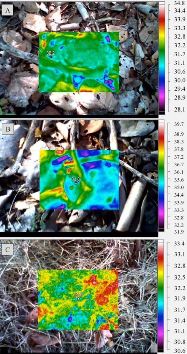 Herpetological Conservation and Biology FIGURE 6. Thermal images taken from each of the field sites and the transect on 15 October 2013.