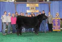 appreciate and she has raised tons of winners and high selling calves.