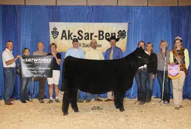 Offering 3 embryos sired by Maternal Perfection Rose 8249U is just getting started and she did it in a big way with her daughter recently being named Reserve Supreme Female at the 2014 AkSarBen in