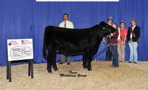 Offering 3 embryos sired by I Believe B. Offering 3 embryos sired by Man Among Boys C.