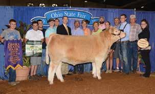 Monopoly Monopoly x Firewater x 0641 has produced some of the highest valued and most popular cattle