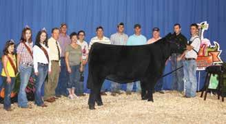 Offering 3 embryos sired by Chopper Elanoar was the 2011 She s A Lady