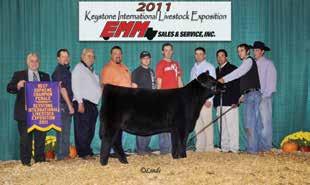 Offering 3 embryos sired by Broker Nikki was a $32,000 high seller and highly touted show heifer collecting titles such as Supreme Female at the