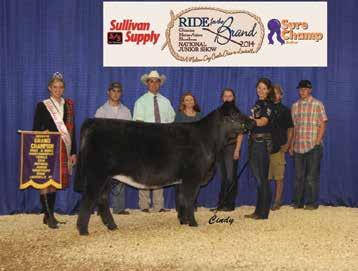 Offering 3 embryos sired by Asset Roan Sue was an $18,000 sale feature at the Duis Dispersal a few years ago and for good reason, she is flat awesome!