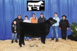 Offering 3 embryos sired by EXAR Classen 1422B C. Offering 3 embryos sired by Mr.