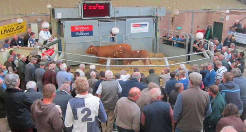 SUMMER SALE OF 56 PEDIGREE & COMMERCIAL LIMOUSIN CATTLE EXETER LIVESTOCK CENTRE FRIDAY 22 ND JUNE 2018 11.