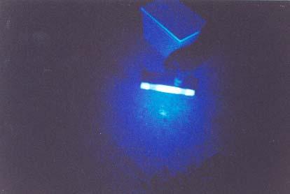 Figure 17. UV-light trap shown in use. Ovitrap Ovitraps are used to collect the eggs of certain day-flying, container inhabiting Aedes (Stegomyia) mosquitoes including Aedes aegypti and Ae.