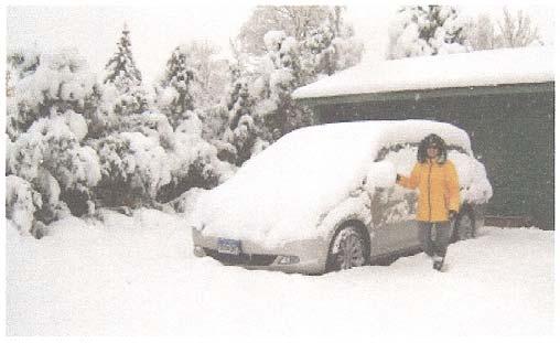 Lynn Kral loaded their van the night before to go to the NYBS and woke up to this. Colorado snow. October 26 or 27, 2011.