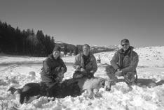 Yellowstone Wolf Project 11 Wolf Project staff Debra Guernsey, Daniel Stahler, and Douglas Smith process two Geode pack wolves. Photo by Kerry Gunther/NPS.