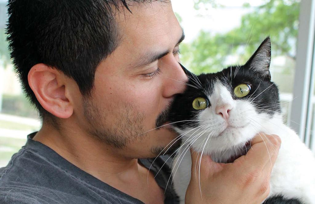 IN 2013, THE SAN ANTONIO HUMANE SOCIETY S VOLUNTEERS AND FOSTER FAMILIES