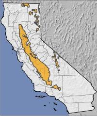 The current range is much reduced from the historical range, which included most of California.