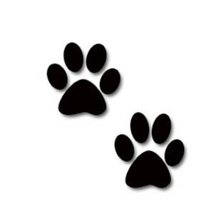 5 Welcome to the second issue of The Paw Print, our new monthly newsletter.