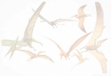 DINOSAUR FACTS MORE DINOSAUR PEERS LONG-TAILED PTEROSAURS The pterosaurs were the flying reptiles of the age of dinosaurs. They were archosaurs, like the dinosaurs and crocodiles.