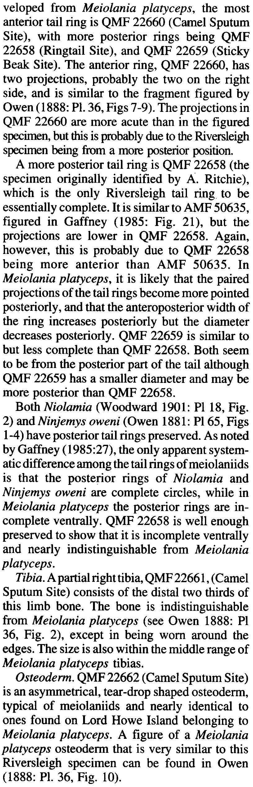 The anterior ring, QMF 22660, has two projections, probably the two on the right side, and is similar to the fragment figured by Owen (1888: PI. 36, Figs 7-9).