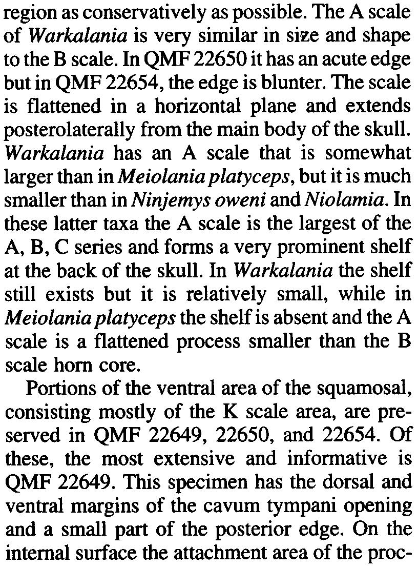 Warkalania has an A scale that is somewhat larger than in Meiolania platyceps, but it is much smaller than in Ninjemys oweni and Niolamia.