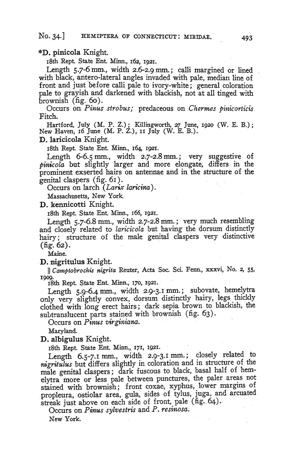 No. 34.] HEMIPTERA OF CONNECTICUT: MIRIDAE. 493 *D. pinicola Knight. i8th Rept State Ent. Minn., i62, i92i. Length 5.7-6 mm., width 2.6-2.9 mm.