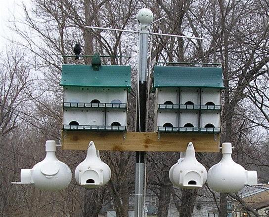 The Set Up The new Purple Martin Set up consist of two S&K Best Houses converted from twelve compartments each house to six enlarged compartments per house.