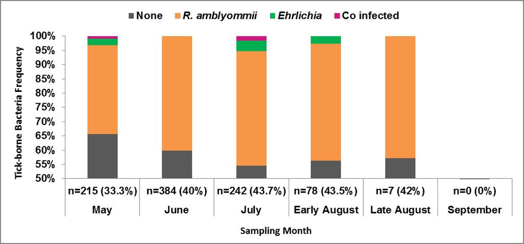 RESULTS: SEASONAL PREVALENCE RESULTS: SPATIAL DISTRIBUTION Bacteria Positive Sites: Randomly Distributed Ehrlichia