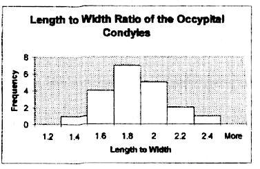 Figure 4: This histogram was generated from measurements of the occipital condyles.