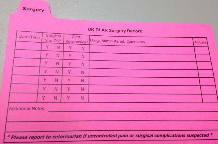 Surgical Records Accurate record keeping is important Pink Surgery Cards (supplied by DLAR)- very handy for quick reference when Vet