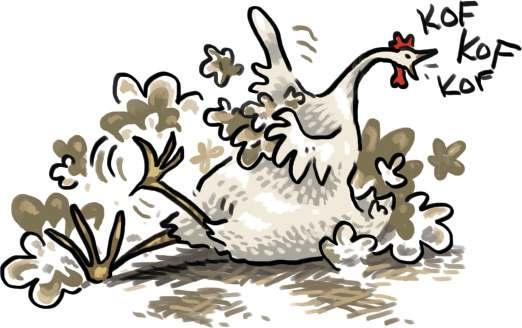 Poultry Health Winter tips and tricks Year-round health Maintaining poultry health is more challenging in the winter when the birds spend all of their time in the coop.