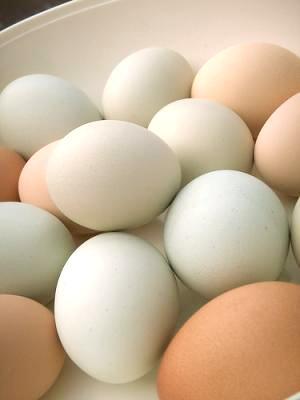 There is no real difference in the nutritional content of eggs of different colors (white, brown or even blue/green eggshells) The color of the shell is given by the breed of the hen, but the