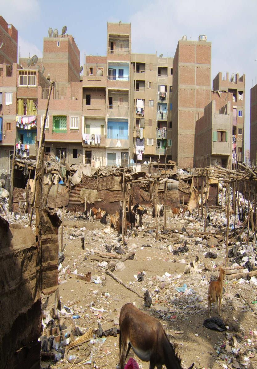 «Other factors as economic impoverishment, war or civil conflicts, migration and urban decay