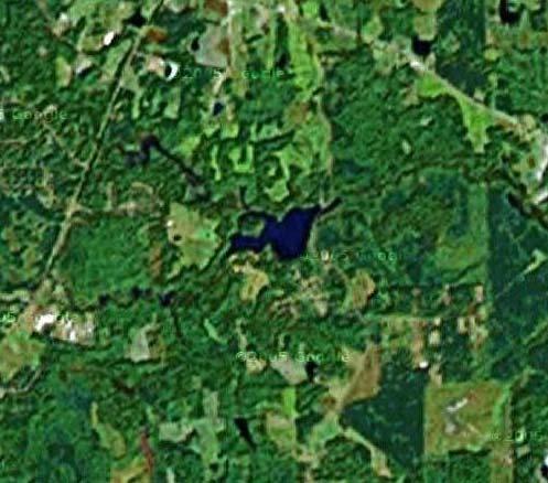 C li f t o n P o n d 401 R d Figure 4. Satellite photo of Clifton Pond. Modified from Google Maps on January 31, 2006. Scale unknown.