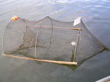 The first is that hoop traps have been shown to be the most effective type of trap for collecting turtles (Cagle 1950). a) b) Figure 7. Traps used in the field. a) 1.5 diameter trap that has been set.