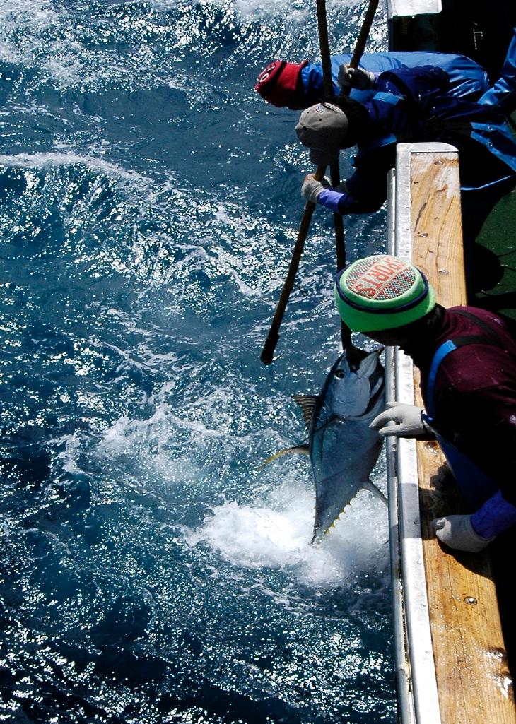 Kazuhiro Yamazaki, a captain on a Japanese tuna vessel, is the 2011 Smart Gear winner, receiving a $30,000 grand prize, and also received the special tuna prize of $7,500, offered by the