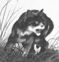 CHAPTER 22 ; Brambleclaw crouched in the bushes and watched the full moon suspended in the dark blue sky. Back at Fourtrees, the Clans would have met for their Gathering.