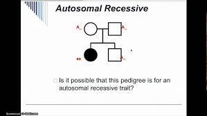 Autosomal Recessive Traits Close relatives who reproduce are more likely to have affected children.