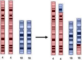 Problems with Chromosome Structure: 3.