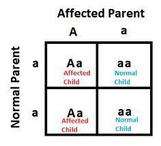 Autosomal Dominant Traits What do you remember about normal Dominant and